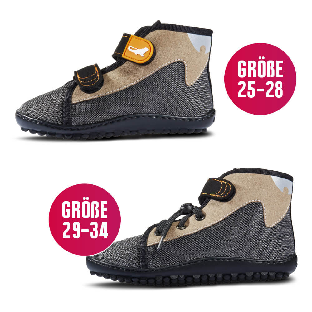 leguanito SCIPPO forester