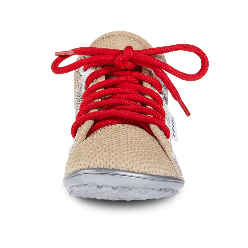 leguanito aktiv plus